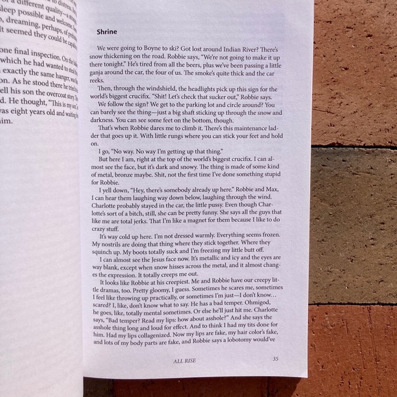 All Rise Dick Bentley Out of Print Poetry Prose Hell Paris Review Urban Planner - Picture 6 of 14